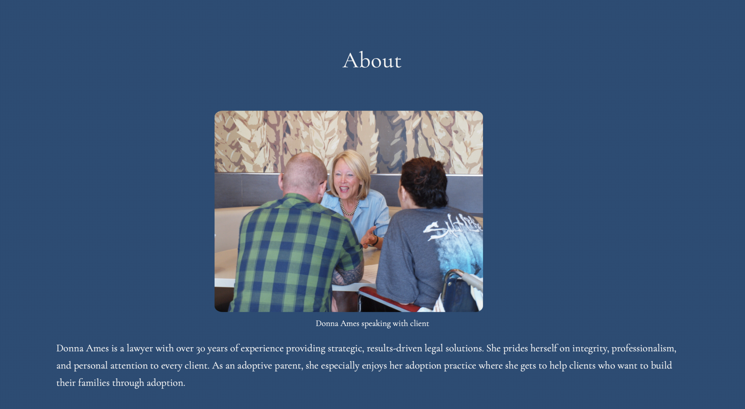 About Page for Ames Adoption Law