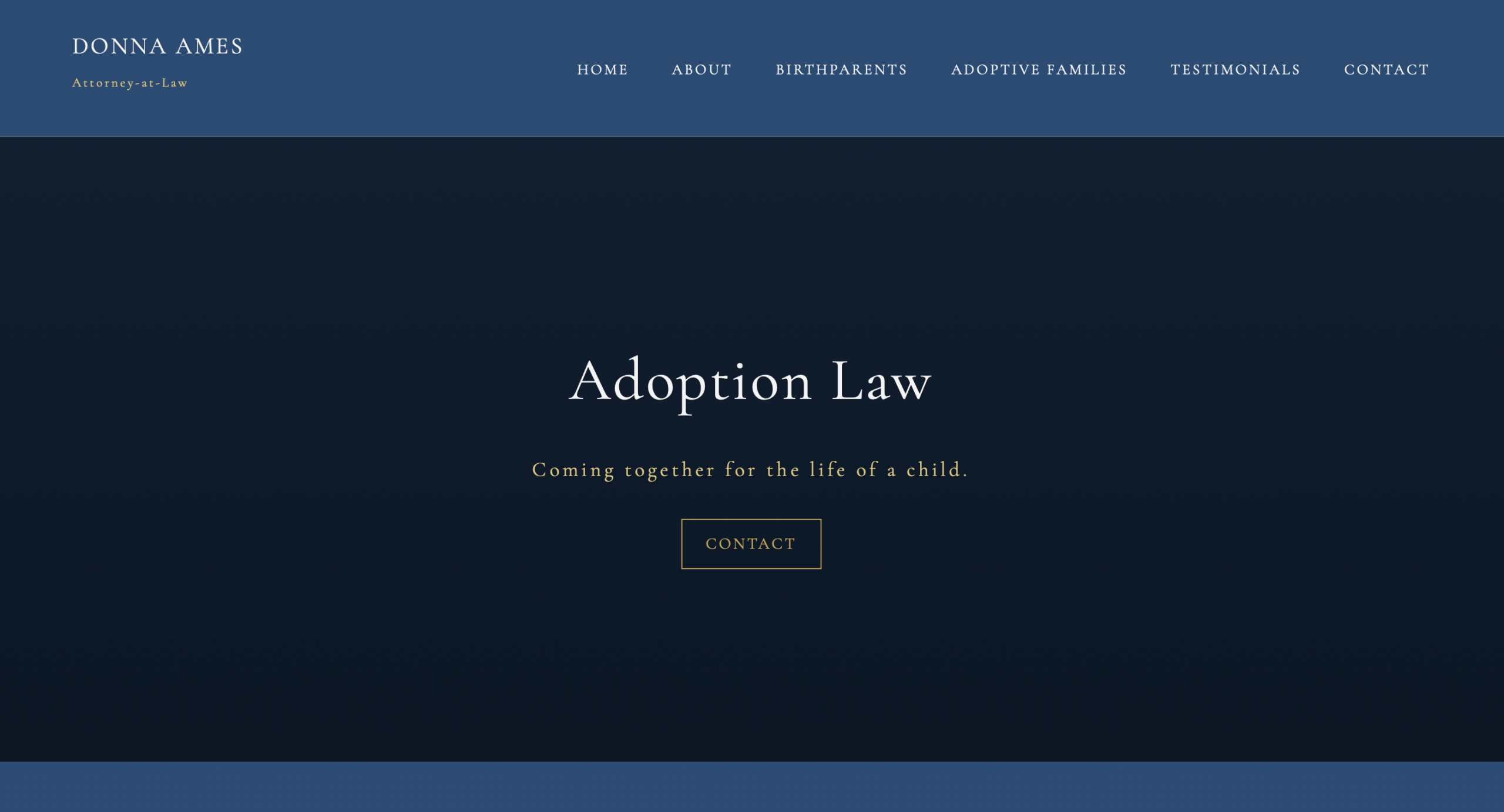 Ames Adoption Law website
